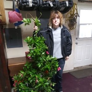 Meet your Posher, Nancy